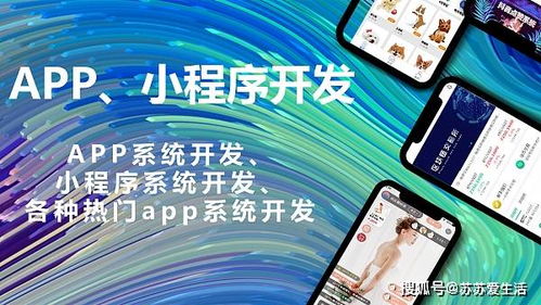 軟件定制開發(fā)對企業(yè)有哪些好處 軟件定制開發(fā)丨商城系統(tǒng)開發(fā)