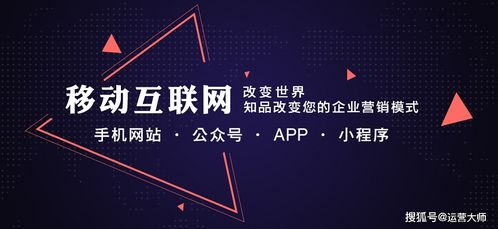 定制開發(fā)app公司 開發(fā)軟件app需要多少錢 app是怎么開發(fā)的